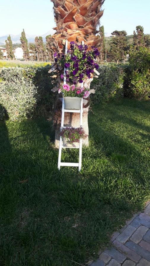 Beb Oasi Marina Bed and Breakfast Campofelice Di Roccella Exteriör bild
