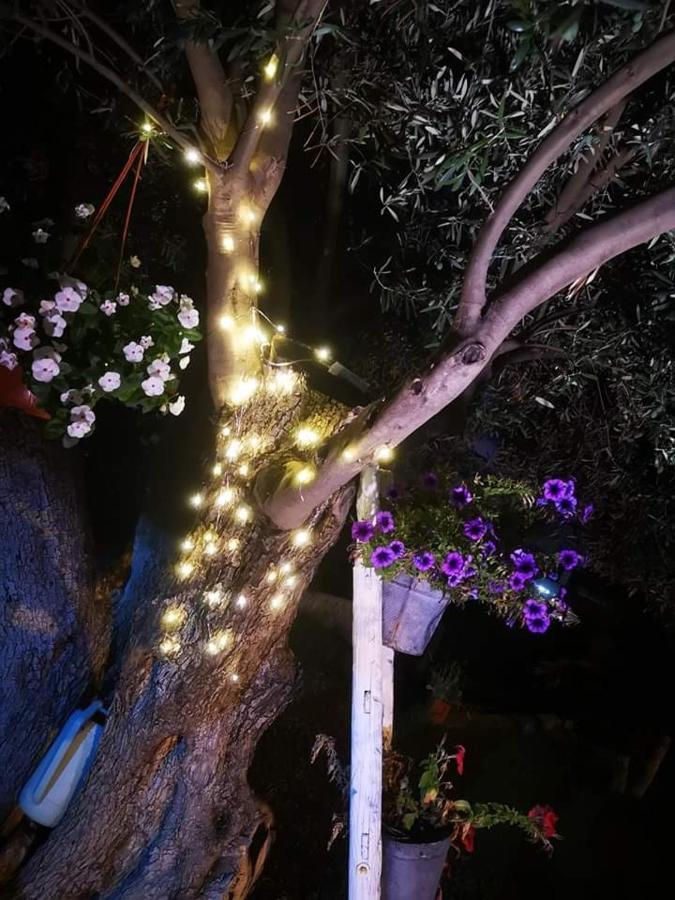 Beb Oasi Marina Bed and Breakfast Campofelice Di Roccella Exteriör bild