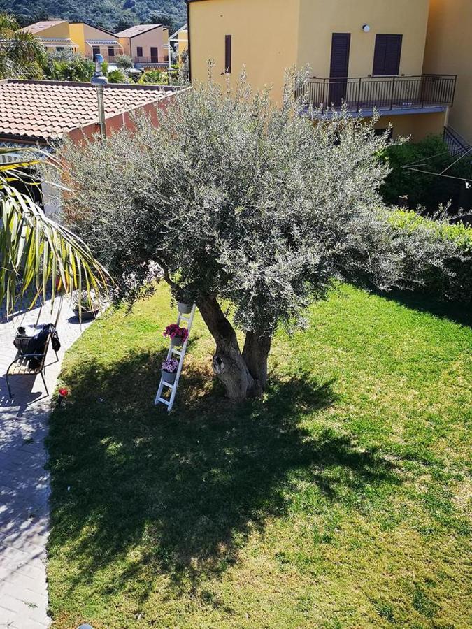 Beb Oasi Marina Bed and Breakfast Campofelice Di Roccella Exteriör bild